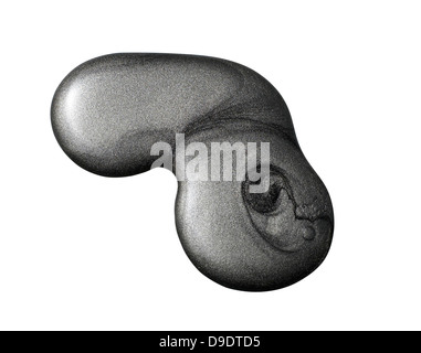 Schwarzer Nagellack Blob auf einem weißen Hintergrund ausschneiden Stockfoto