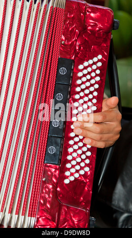 Nahaufnahme Detail der Hände eine rote Akkordeon Instrument zu spielen. Stockfoto