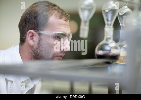 Önologe Überwachung Stichproben im Labor Stockfoto