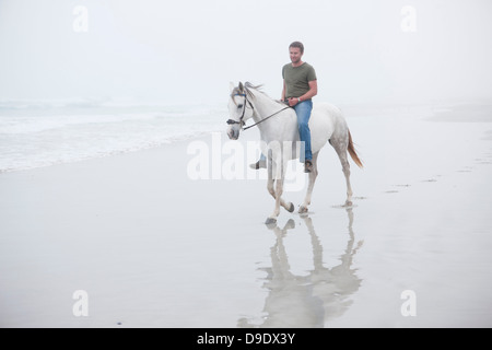 Reitpferd Mann am Strand Stockfoto