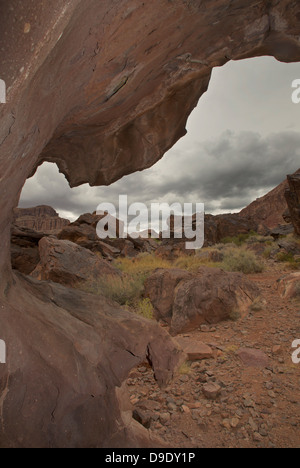 Gewölbt, Rock, neue Hance, Grandview Wandern, Grand Canyon, Arizona, USA Stockfoto