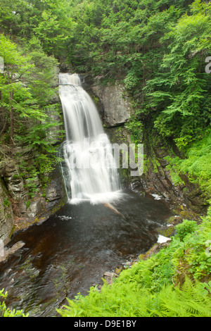 MAIN WASSERFÄLLE BUSHKILL FALLS THEMENPARK BUSHKILL CREEK PIKE COUNTY PENNSYLVANIA USA Stockfoto