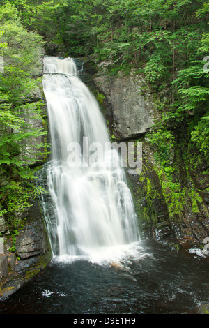 MAIN WASSERFÄLLE BUSHKILL FALLS THEMENPARK BUSHKILL CREEK PIKE COUNTY PENNSYLVANIA USA Stockfoto