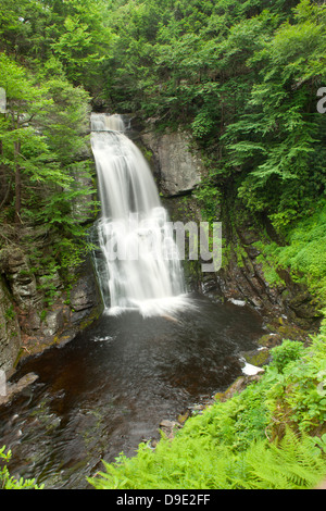 MAIN WASSERFÄLLE BUSHKILL FALLS THEMENPARK BUSHKILL CREEK PIKE COUNTY PENNSYLVANIA USA Stockfoto