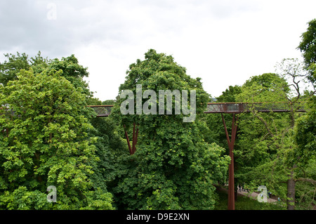 Xstrata Treetop Walkway, Kew Royal Botanic Gardens, London, UK Stockfoto