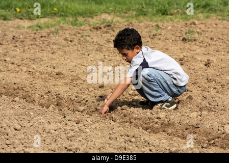 DUNKEL-ENTHÄUTETEN JUNGEN MÄNNLICHEN PFLANZEN SAMEN IM BODEN Stockfoto