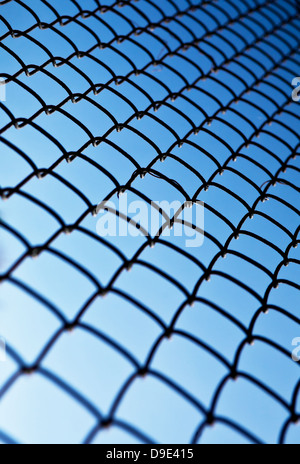 Raster Rabitz gegen den Himmel Stockfoto