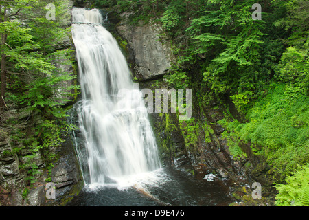 MAIN WASSERFÄLLE BUSHKILL FALLS THEMENPARK BUSHKILL CREEK PIKE COUNTY PENNSYLVANIA USA Stockfoto