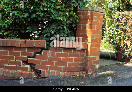 setzungen auf Ziegelwand herunterfallen Stockfoto