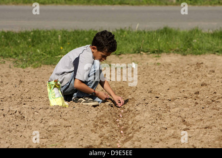 DUNKEL-ENTHÄUTETEN JUNGEN MÄNNLICHEN PFLANZEN SAMEN IM BODEN Stockfoto