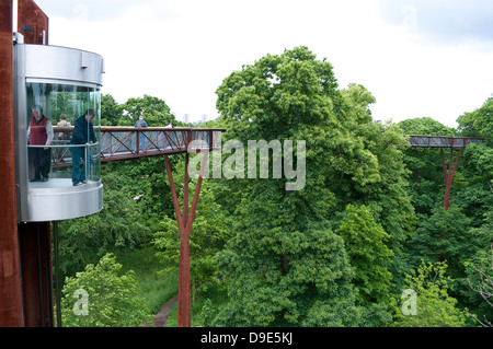 Xstrata Treetop Walkway, Kew Royal Botanic Gardens, London, UK Stockfoto