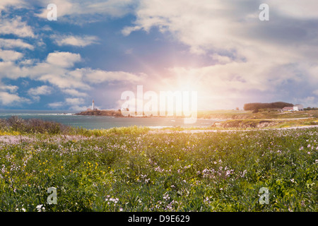 Pigeon Point Lighthouse, Pescadero, Kalifornien, USA Stockfoto