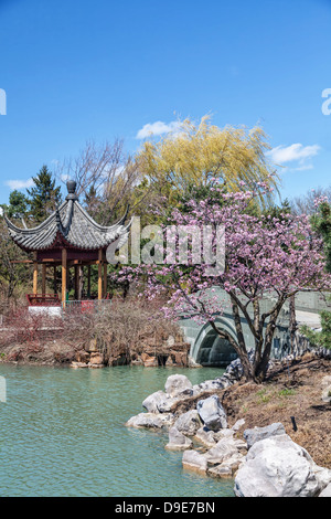 Chinesischer Garten im Botanischen Garten Montreal, Montreal, Quebec, Kanada. Stockfoto