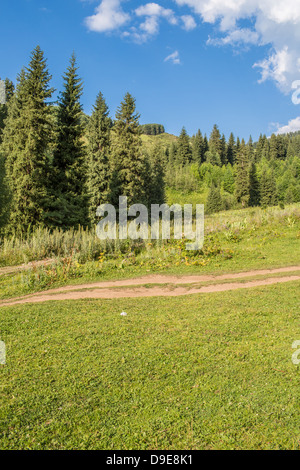 Natur von grünen Bäumen und blauen Himmel, unterwegs Medeo in Almaty, Kasachstan, Asien im Sommer Stockfoto