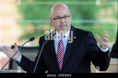 Premier des Landes Schleswig-Holstein Torsten Albig spricht während der Staat Parlamentssitzung in Kiel, Deutschland, 18. Juni 2013. Die Flutkatastrophe wurde diskutiert. Foto: CARSTEN REHDER Stockfoto