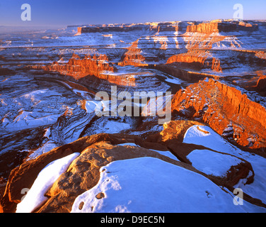 Der Schwanenhals und Colorado River im Canyonlands National Park wie Dead Horse Point State Park in Utah zu sehen Stockfoto