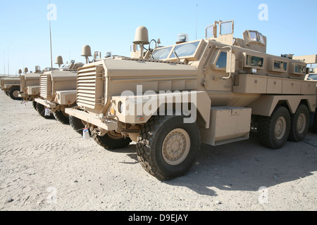 Cougar HEV Mine Resistant Ambush Protected Fahrzeuge. Stockfoto