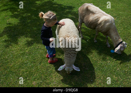 Kind blondes Mädchen mit zwei Schafen sonnigen Tag draußen Stockfoto