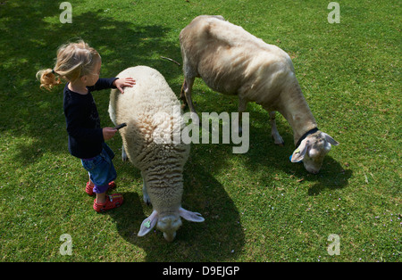 Kind blondes Mädchen mit zwei Schafen sonnigen Tag draußen Stockfoto