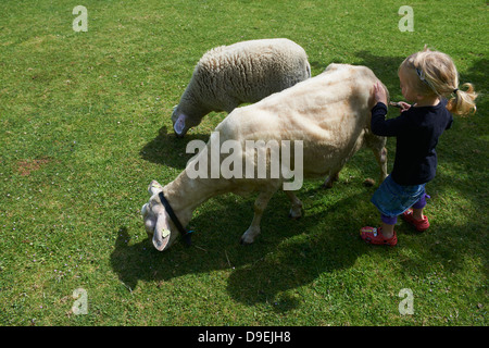 Kind blondes Mädchen mit zwei Schafen sonnigen Tag draußen Stockfoto