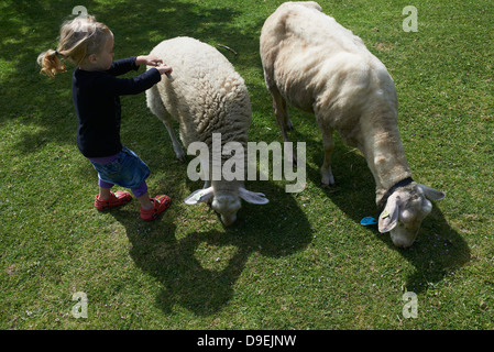 Kind blondes Mädchen mit zwei Schafen sonnigen Tag draußen Stockfoto