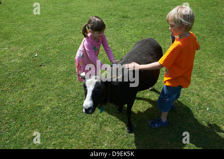 Kinder Jungen und Mädchen mit Schafen sonnigen Tag draußen Stockfoto