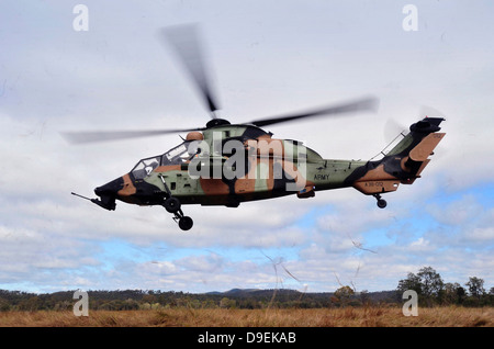 Ein australische Armee-Tiger-Hubschrauber fliegt eine Erkundungsmission. Stockfoto