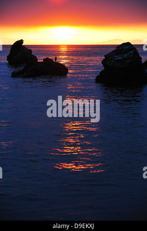 Sonnenaufgang auf der Meoto-Iwa, Präfektur Mie Stockfoto