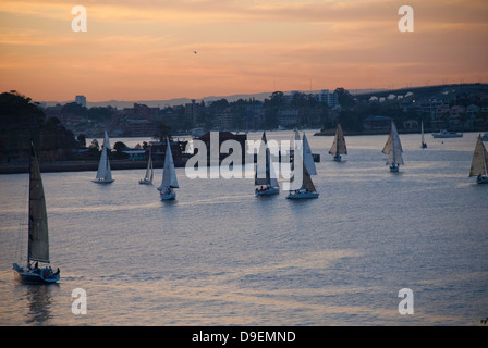 Segeln im Hafen von Sydney bei Sonnenuntergang, in der Nähe von Cockatoo Island, Sydney, Australien Stockfoto