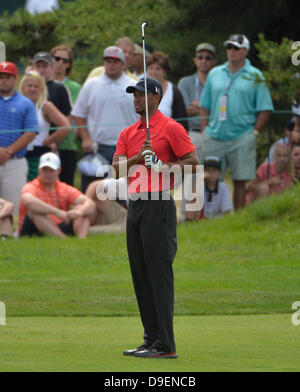 16. Juni 2013 kümmert sich - Merion, Pa, USA - Tiger Woods, der USA, eine Schaukel auf dem 16. Fairway während der Endrunde der 113. US Open Meisterschaften im Merion Golf Club in Ardmore, Pennsylvania. Stockfoto