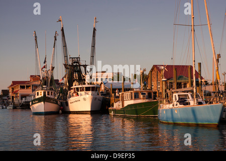 Die Sonne geht auf der aktiven Uferpromenade entlang Shem Creek, Mount Pleasant, South Carolina, USA in ein warmes Licht baden. Stockfoto