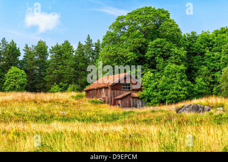 Alte rote verlassene Scheune in einem Feld, Bild aus Schweden. Stockfoto