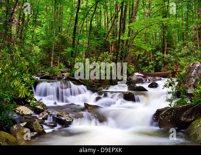 Kaskaden in den Smokey Mountains in Tennessee, USA. Stockfoto