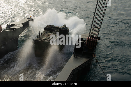 Eine amphibische Fahrzeug debarks von einem Schiff, Military Sealift Command. Stockfoto