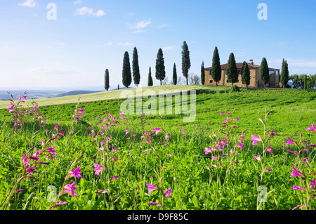 Toskana Haus Mit Blumen - Toskana Haus und Blumen 02 Stockfoto