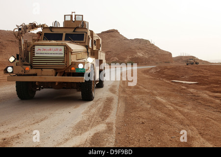 Cougar gepanzerte Kampffahrzeuge im Irak. Stockfoto