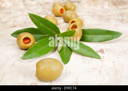 Voller Oliven mit einem Zweig des Olivenbaumes, gefüllte Oliven mit einer Niederlassung von in Olivenbaum Stockfoto