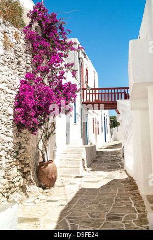 Traditionelle griechische Gasse auf Sifnos Insel, Griechenland Stockfoto