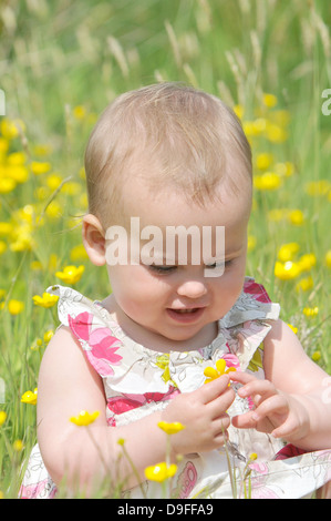 Baby-Sitter im Bereich der Butterblumen. Stockfoto