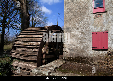 Murphy's alte Wasserrad und Mehl-Mühle am Fluss Corock, circa 1851, Foulkesmill, County Wexford, Irland Stockfoto