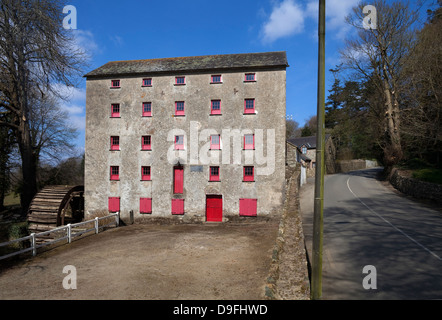 Murphy's alte Wasserrad und Mehl-Mühle am Fluss Corock, circa 1851, Foulkesmill, County Wexford, Irland Stockfoto