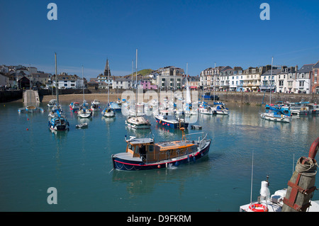 Der Hafen, Ilfracombe, Devon, England, Vereinigtes Königreich Stockfoto