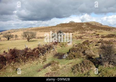 Moor in der Nähe von Hound Tor, Dartmoor National Park, Devon, England, UK Stockfoto