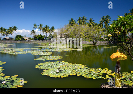 Lily Pond, Candi Dasa, Bali, Indonesien, Südostasien Stockfoto