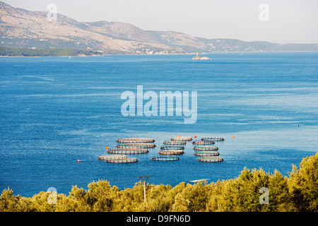 Fischernetze, Butrint, Albanien, mediterran Stockfoto