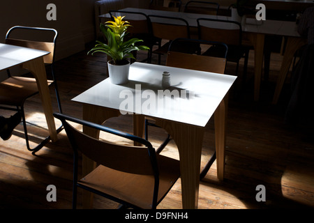 Eine Innenaufnahme von einem Tisch und Stühlen mit einer Pflanze auf den Tisch. Stockfoto