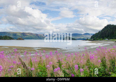 Haida Gwaii (Queen Charlotte Islands), Britisch-Kolumbien, Kanada Stockfoto