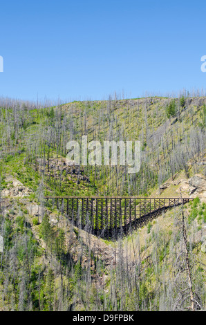 Alte Eisenbahn-Böcke in Myra Canyon, Kelowna, British Columbia, Kanada Stockfoto