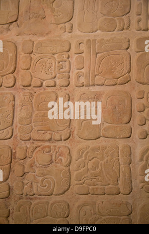 Tablet-Palast mit Hieroglyphen, archäologischen Museum von Palenque, Palenque archäologische Zone, Chiapas, Mexiko Stockfoto