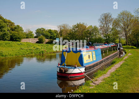 Barge Barge Schmalboot auf dem Lancaster Canal Fluss im Sommer Tewitfield bei Borwick Lancashire England GB Großbritannien Großbritannien Vereinigtes Königreich vertäut Stockfoto